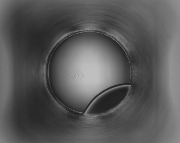 X0000102361134200808011447