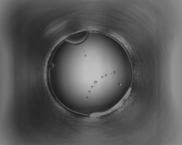 X0000102361135200808011447