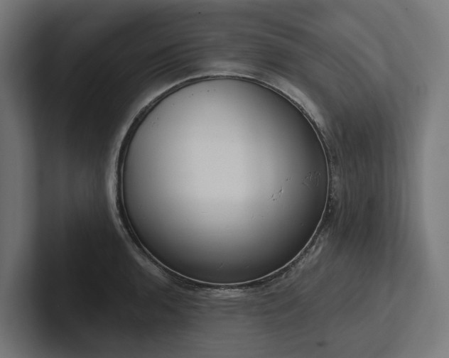 X0000102361136200808011447