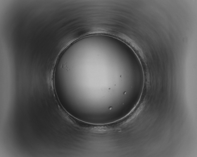 X0000102361137200808011447