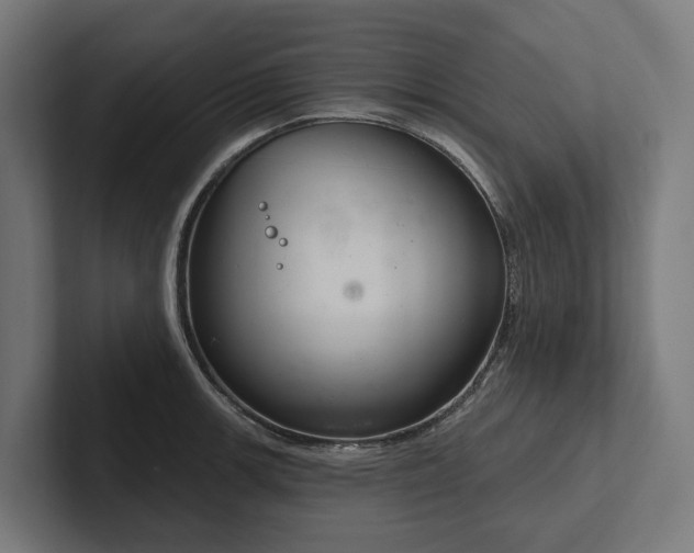 X0000102361139200808011447