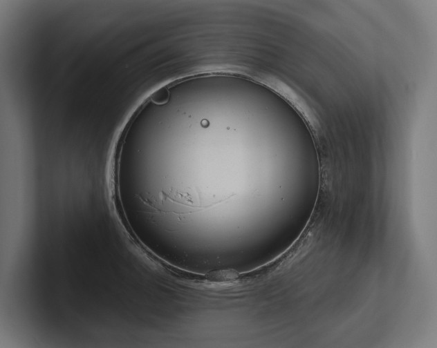 X0000102361140200808011447