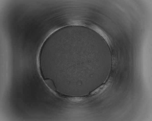 X0000102361141200808011447