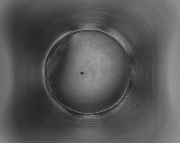 X0000102361142200808011447