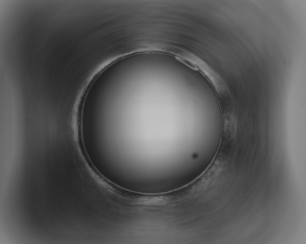 X0000102361143200808011447
