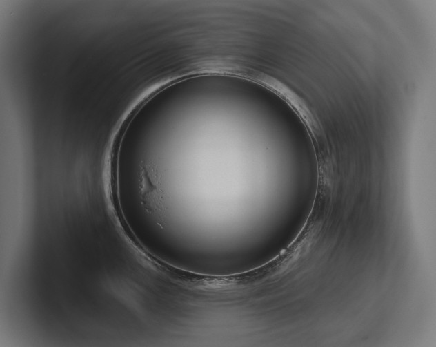 X0000102361147200808011447