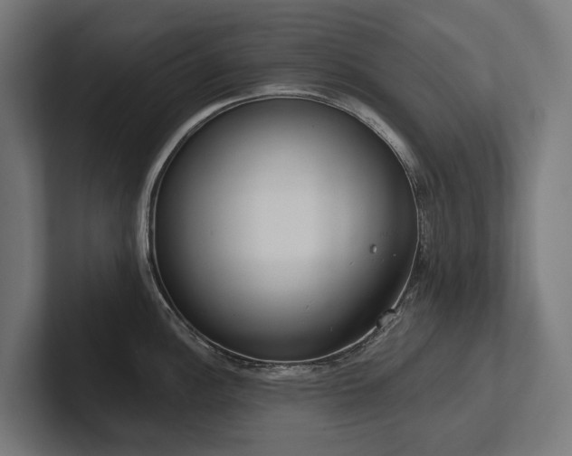 X0000102361148200808011447