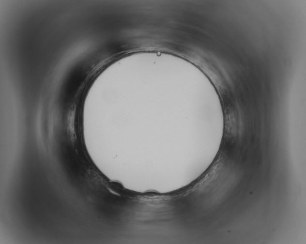 X0000102361150200808011447