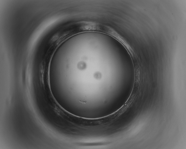 X0000102361151200808011447