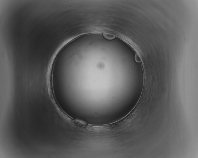 X0000102361152200808011447