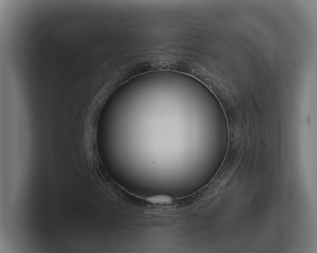 X0000102361153200808011446