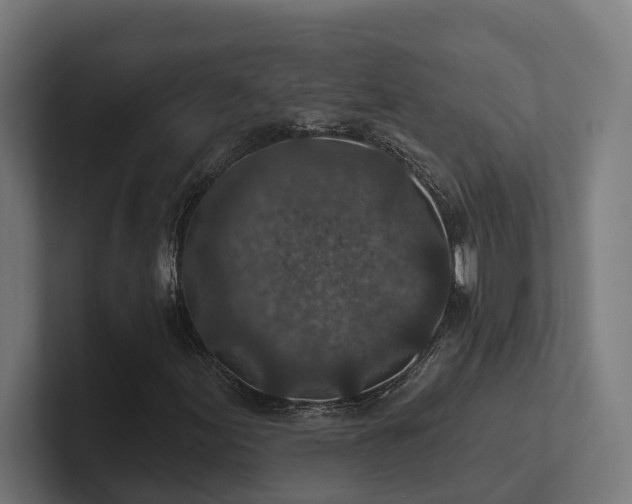 X0000102361155200808011446