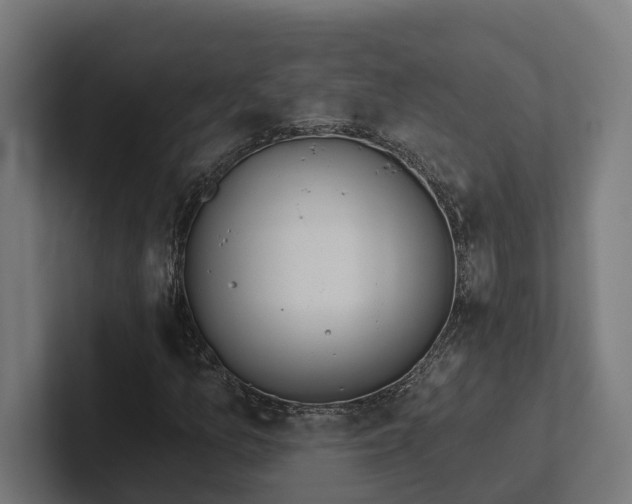X0000102361157200808011446