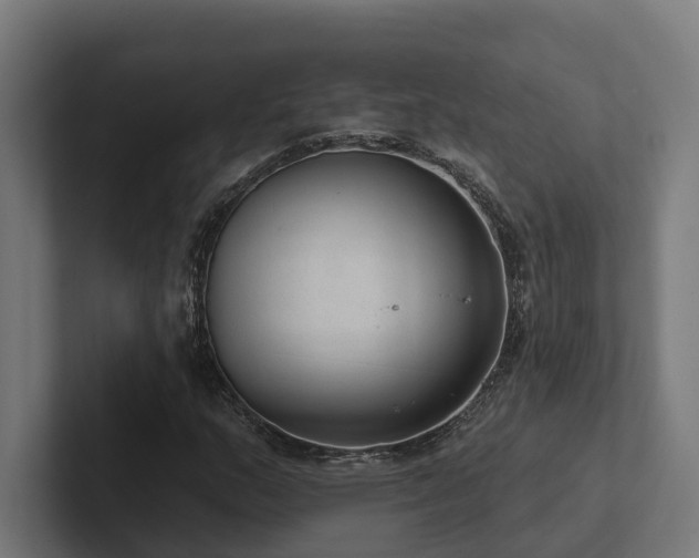 X0000102361159200808011446