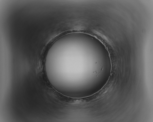X0000102361160200808011446