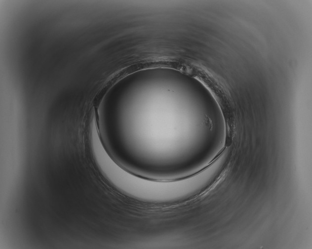 X0000102361161200808011446