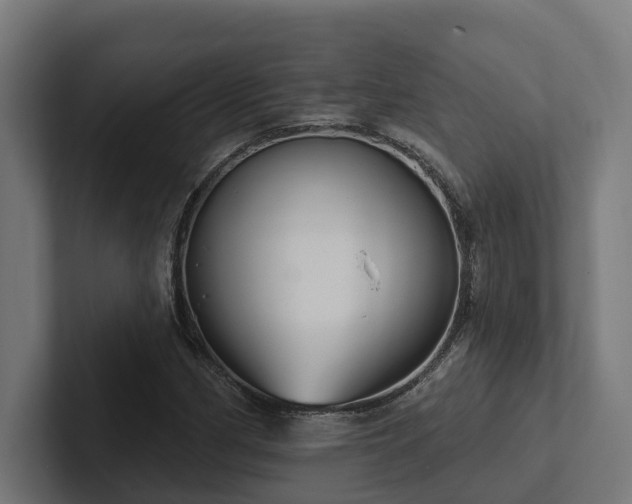X0000102361162200808011446