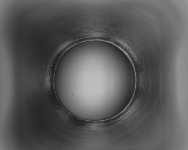 X0000102361163200808011446