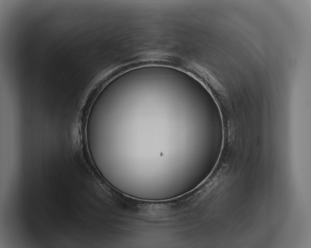X0000102361164200808011446