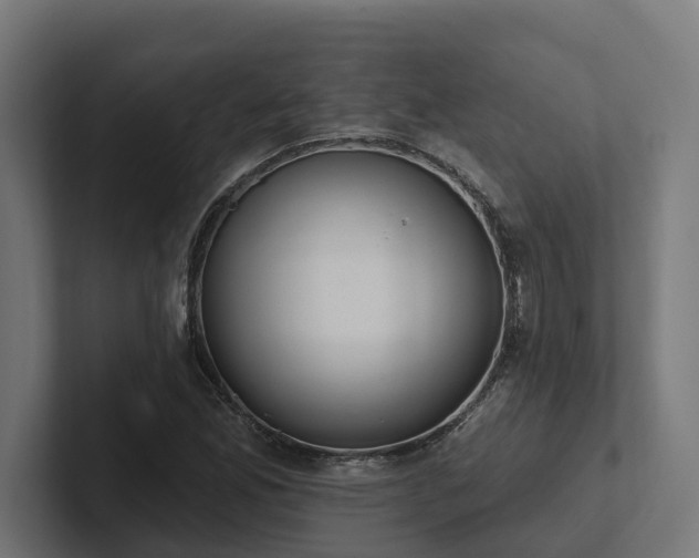 X0000102361165200808011446