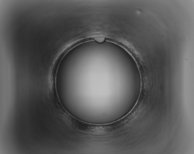 X0000102361167200808011446