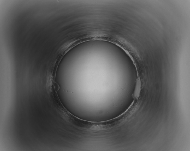 X0000102361169200808011446