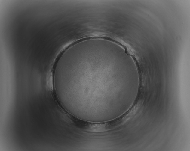 X0000102361171200808011446