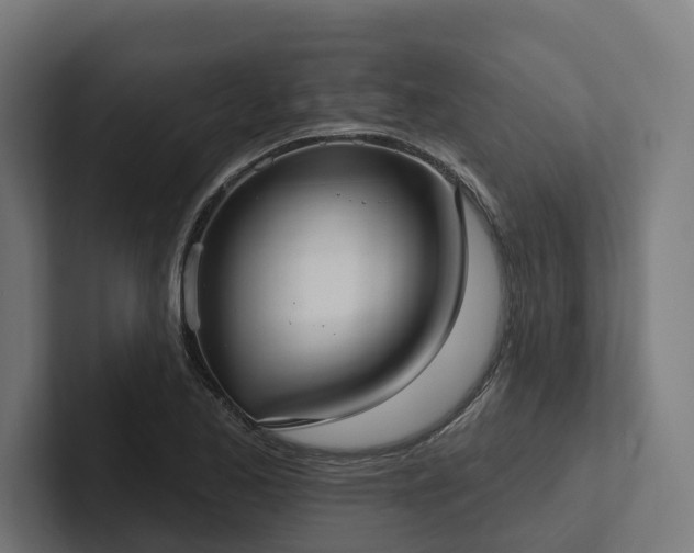 X0000102361173200808011446