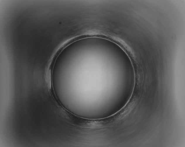 X0000102361175200808011446