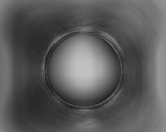 X0000102361176200808011446
