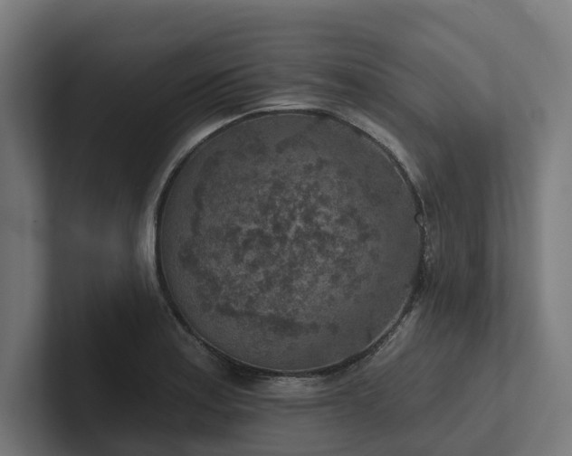 X0000102361179200808011446