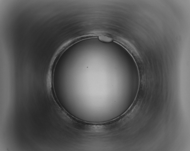 X0000102361180200808011446