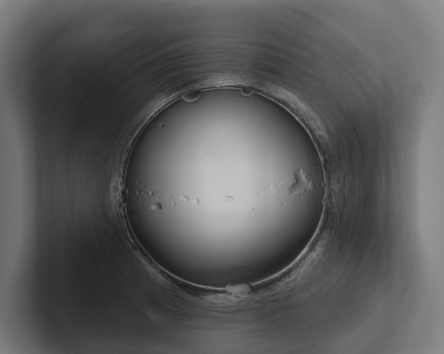X0000102361185200808011446