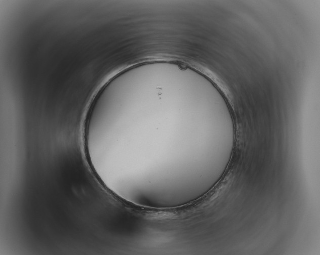 X0000102361187200808011446