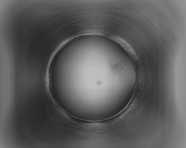 X0000102361188200808011446
