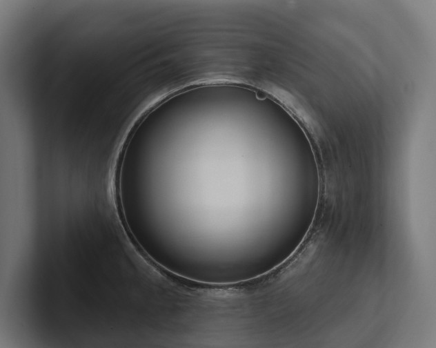 X0000102361189200808011446