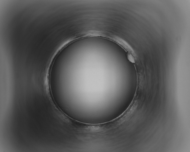 X0000102361190200808011446