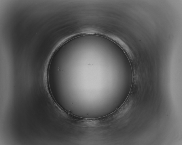 X0000102361191200808011446