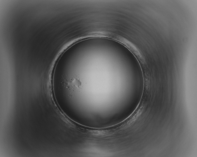 X0000102361192200808011446