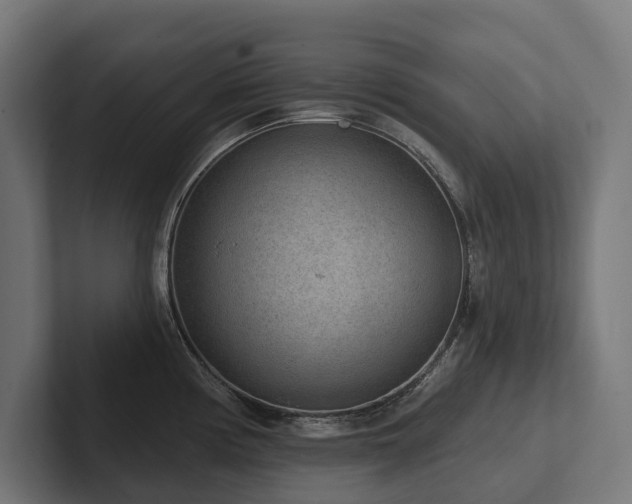 X0000102361194200808011446