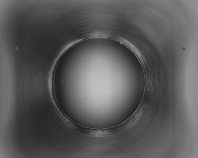 X0000102361195200808011446