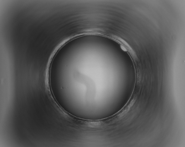 X0000102361196200808011446