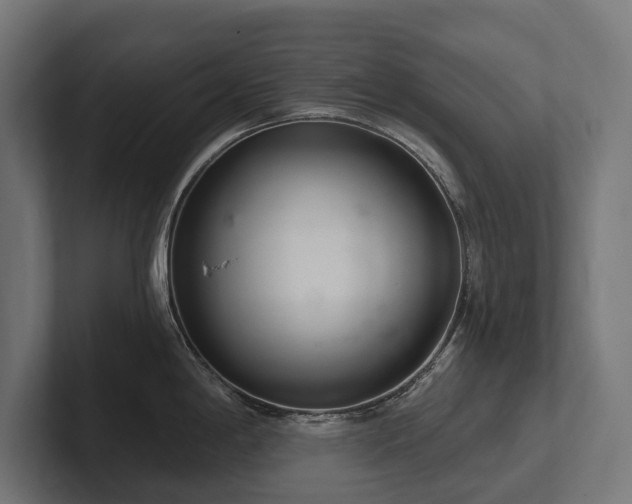 X0000102361198200808011446