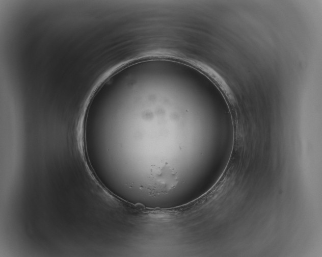 X0000102361199200808011446