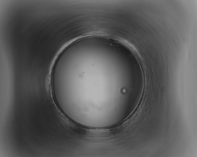 X0000102361200200808011446
