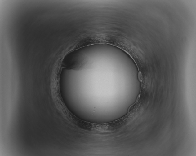 X0000102361201200808011445