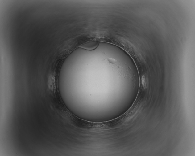 X0000102361203200808011445