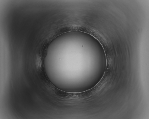 X0000102361204200808011445