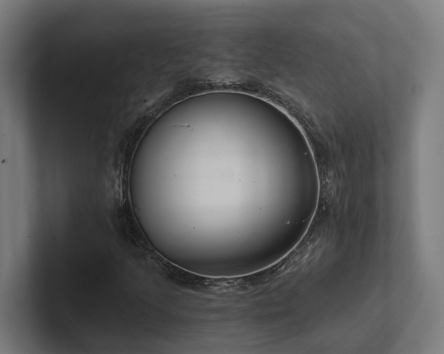 X0000102361205200808011445