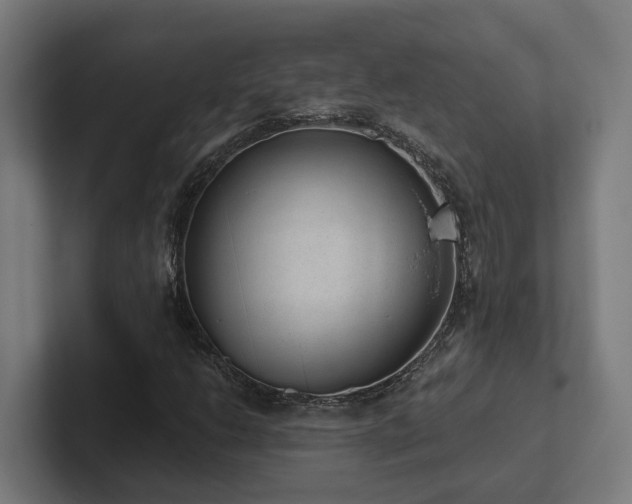 X0000102361206200808011445